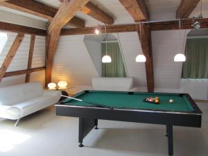 FelbenLandgasthof Schwanen的客厅配有台球桌和沙发