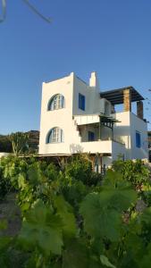 米科利维亚Matina Naxos - Mikri Vigla的前面有植物的白色房子