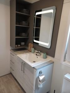 德拉格CHARTA Mobile Home Meon的一间带水槽和镜子的浴室