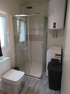 德拉格CHARTA Mobile Home Meon的带淋浴和卫生间的小浴室
