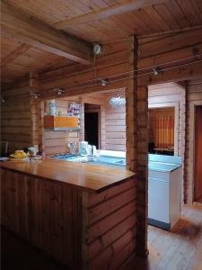 MeppenFins Boshuis的小木屋内的厨房,配有台面