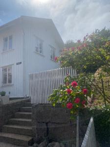 吕瑟希尔Cozy house in central Lysekil, 4-6 beds的白色的房子,有楼梯,有栅栏和鲜花