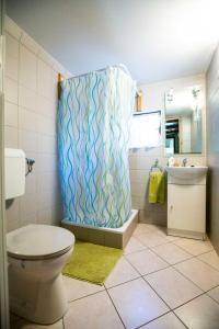 索尔沃什Ciprus Nyaraló Szarvas的一间带卫生间和淋浴帘的浴室