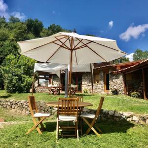 拉梅戈Quinta dos Carvalhos The Wine House Farm in Center of Lamego - Capital of the Douro的相册照片