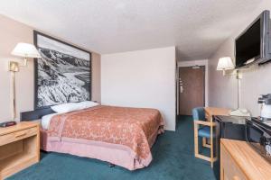 格伦代夫Glendive Lodge的配有一张床和一台平面电视的酒店客房