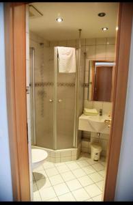 斯齐道Hotel Normandie的带淋浴、卫生间和盥洗盆的浴室