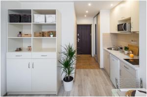 里加Klijanu street design studio in city centre的一间厨房,配有白色的橱柜和植物