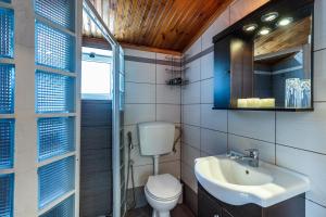 斯科派洛斯里贾纳酒店的一间带卫生间、水槽和镜子的浴室