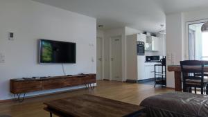 腓特烈港Apartment "SUN"的客厅设有壁挂式平面电视。