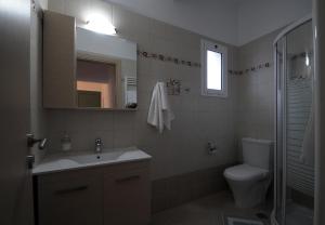 阿内莫尼公寓的一间浴室