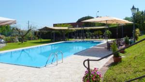 萨尔扎纳阿尔伯格拉鲁纳酒店的一个带遮阳伞和椅子的大型游泳池