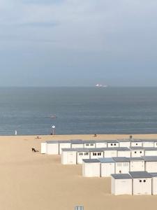 克诺克－海斯特bel appartement à 100m de la plage的拥有白色建筑和海洋的海滩