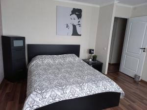 陶格夫匹尔斯Vienibas apartment的卧室配有一张带灰色和白色棉被的床