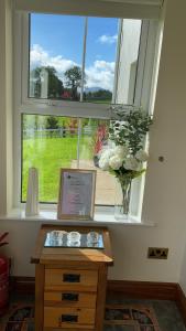 LetterbreenCorraglass House - close proximity to Cuilcagh的桌子上花瓶的窗户