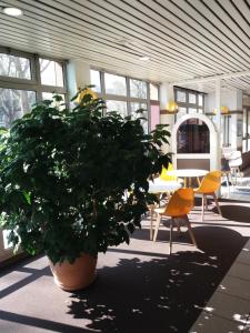 迪耶普EGG HOTEL - HOTEL LES GENS DE MER Dieppe的一张桌子和椅子,房间里一个大植物