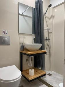 罗德镇Jz Plus Picasso的一间带水槽和卫生间的浴室