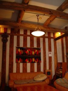 日光露盖特赛斯膳食公寓酒店的一间设有木墙的客房内配有沙发的房间