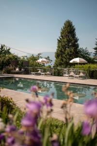 梅拉诺萨尔加特酒店的一个带遮阳伞和椅子的游泳池以及紫色鲜花