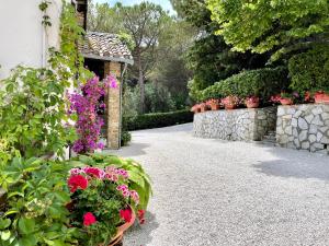 古比奥La Panoramica Gubbio - Maison de Charme - Casette e appartamenti self catering per vacanze meravigliose!的花盆和石墙花园