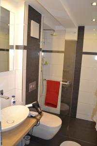 宾茨Apartment mit Meeresblick的浴室配有卫生间、盥洗盆和淋浴。