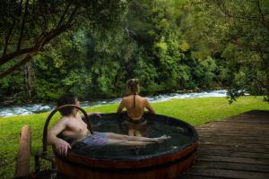 Termas De HuifeHotel y Termas Huife的相册照片