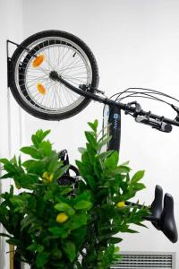 穆尔西亚Alojamiento Simon 1 Murcia的挂在植物旁的杆上的自行车