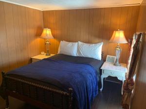 奥斯威戈The Navy的一间卧室配有一张床和两张台灯。