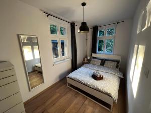 比得哥什Plac Poznański Apartament的一间卧室配有一张床和镜子