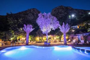 舍夫沙万Dar Echchaouen Maison d'Hôtes & Riad的一座晚上种有紫色树木的游泳池