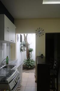 SonzacateApartamento San Carlos的厨房设有水槽,窗户上有一棵树