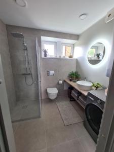 沃鲁Hubane Olevi Apartment的带淋浴、卫生间和盥洗盆的浴室