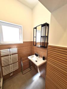 Burgunder - helle und geräumige Wohnung的一间浴室