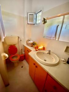 新马克立Blue Vision的一间带卫生间和水槽的浴室