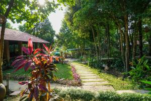 富国Valley Village Phu Quoc的花园中树木和建筑中的一条小径