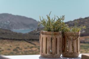 阿格拉瑞Anemela Villas & Suites Mykonos的两个花瓶,里面装有植物,坐在桌子上