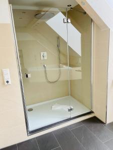鲁斯特Apartments Sunny Place的浴室里设有玻璃门淋浴