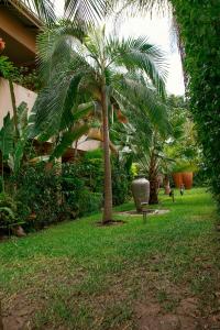 KitweShamba Lodge的院子里的棕榈树和椅子