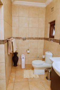 KitweShamba Lodge的一间带卫生间和水槽的浴室