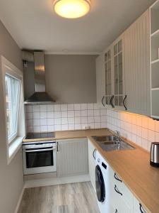 诺托登Notodden Sentrum Apartment NO 7的厨房配有水槽和炉灶