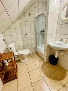 维斯瓦Chata pod Jaworem的一间带卫生间和水槽的浴室