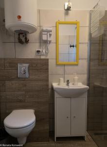 米兹多洛杰Domki Drewniane TREBOR的一间带卫生间、水槽和镜子的浴室