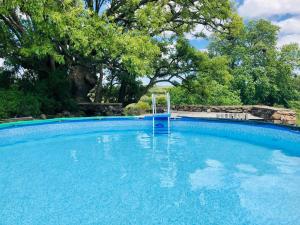 Bungalow de campo Torero - sierras, naturaleza y relax内部或周边的泳池