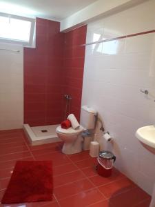 艾斯普罗瓦塔Elena Rooms-Apartments的红色和白色的浴室设有卫生间和水槽