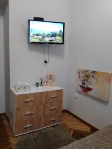 利沃夫Comfortable modern apartment的房间里的梳妆台上方墙上的电视