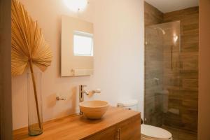 阿瓜斯卡连特斯Hotel Fratelli的一间带一个碗水槽和淋浴的浴室
