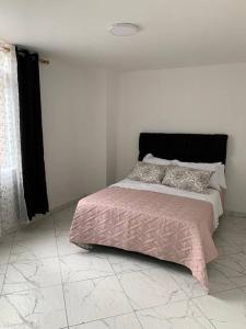 麦德林Apartamento cerca a Plaza Mayor en Medellín的一间卧室配有一张带粉色毯子和枕头的床。