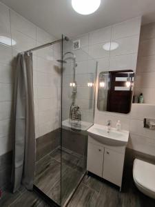 米科瓦伊基Apartament Alex的带淋浴和盥洗盆的浴室