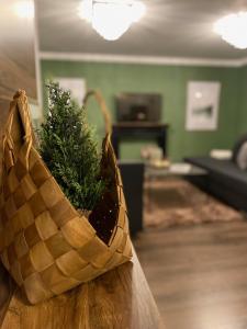 弗罗伊登施塔特Blackforest Apartment的放在桌子上的一篮子,里面装有植物
