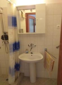 斯塔里格勒Apartments Jakov的一间带水槽和镜子的浴室