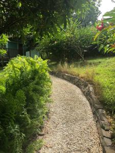 Saint-JosephCharmant bungalow avec piscine的灌木花园中的石路